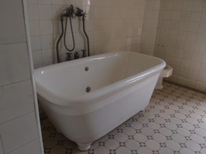 Renoirova vana