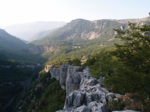 Dolina