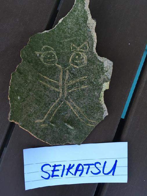 stezkou2-seikatsu.jpg
