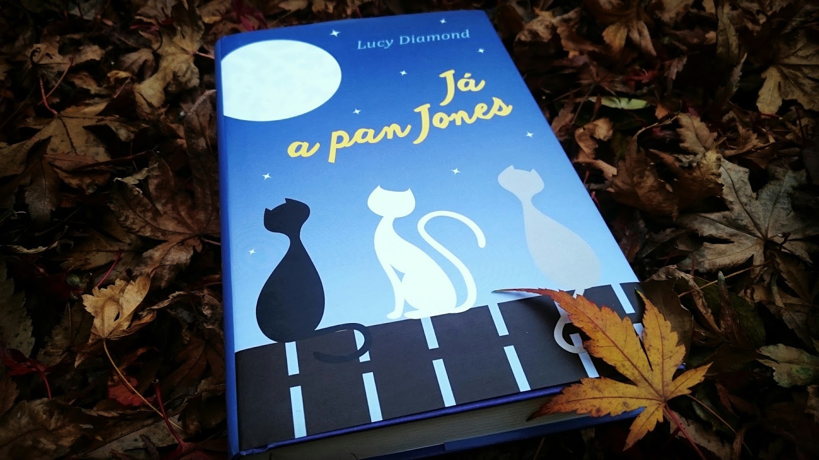 Já-a-pan-Jones.jpg