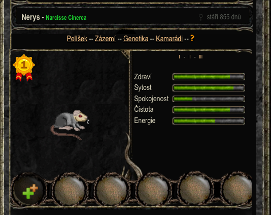 Nerys.png