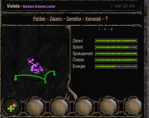 Violeta.png