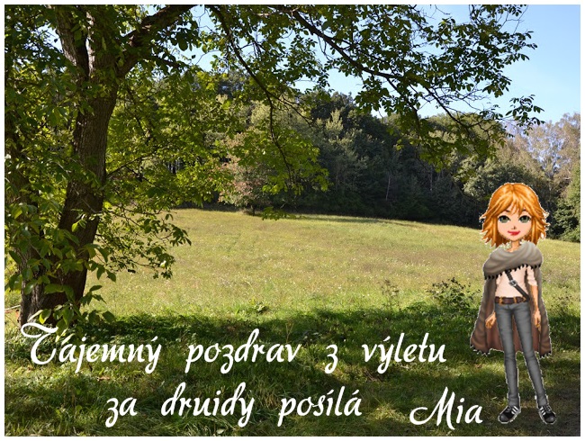 druidi6.jpg