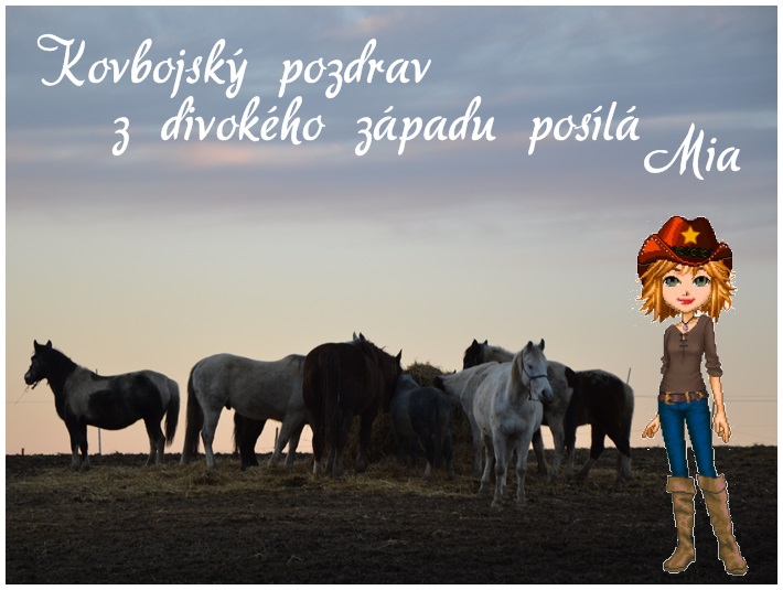 zapad7.jpg