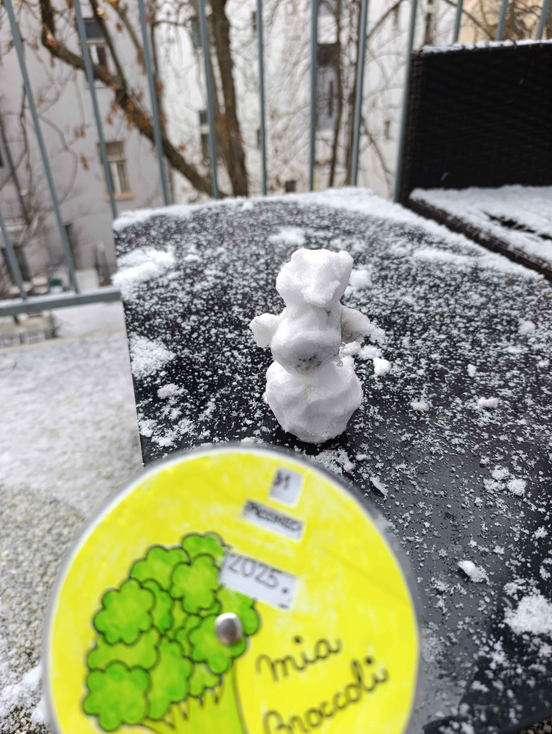 Mia Broccoli