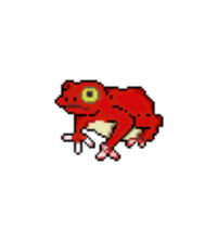 Žába D