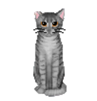 Kočka E