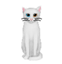 Kočka B